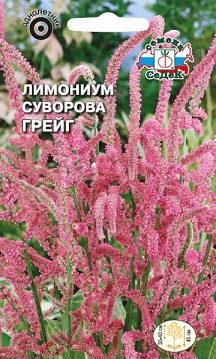 Лимониум Грейг (Суворова, розовый) 0,05г Седек