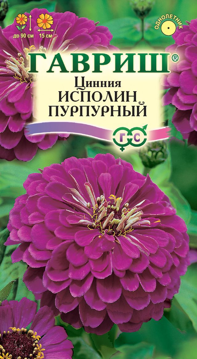 Цинния Исполин пурпурный 0,3гр Гавриш