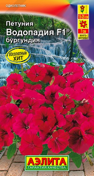 Петуния Водопадия бургундия (А)