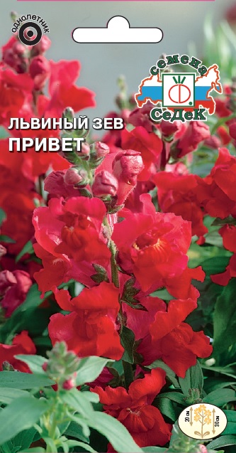 Львиный зев Привет карл. темно-красн. 0,1г Седек
