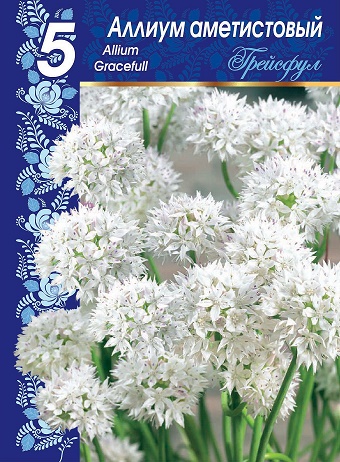 Аллиум Грейсфул, 5шт