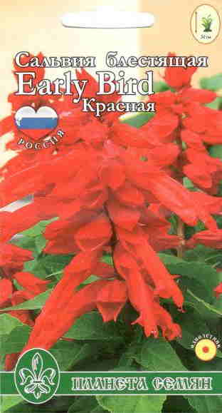 Сальвия красная 0,05гр п/с 
