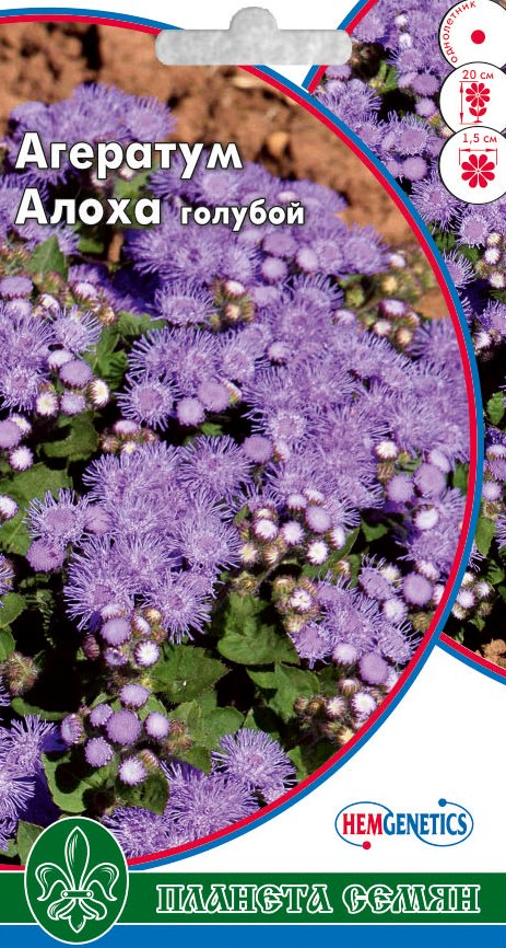 Агератум Алоха голубой 5шт п/с