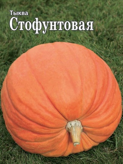 Стофунтовая (тыква) 400 гр