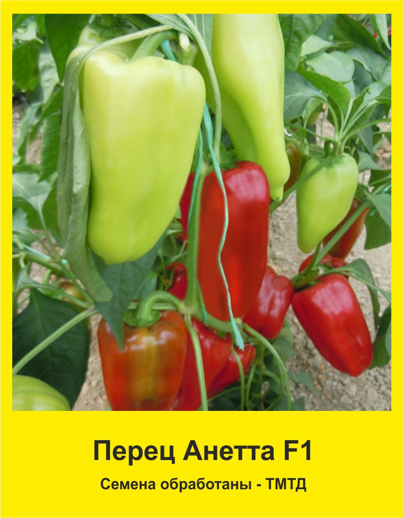 Анетта F1 50 шт