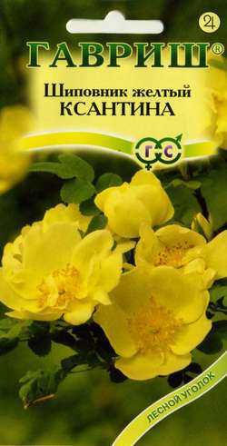 Шиповник желтый Ксантина 0,1г Н10 Гавриш