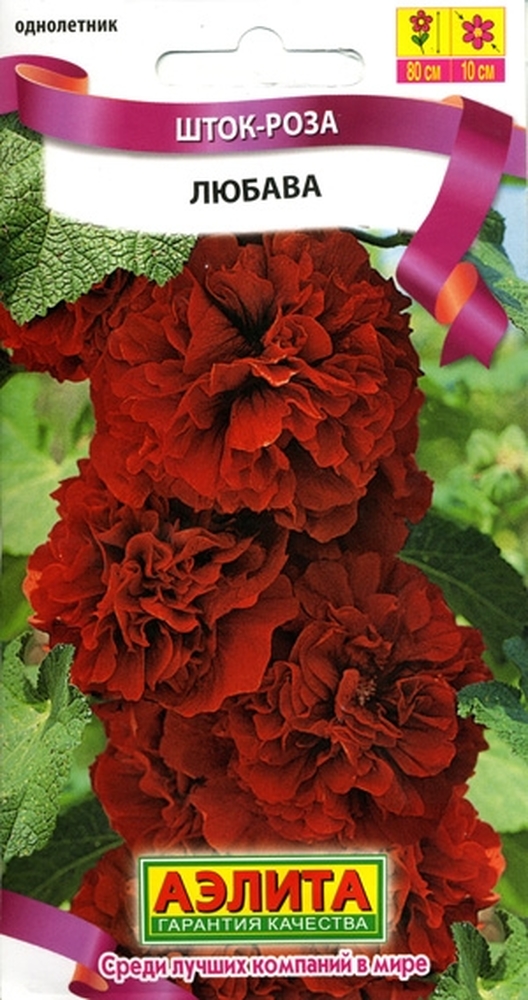 Шток-роза Любава (А)