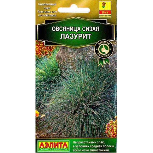 Овсяница Сизая Лазурит (А)