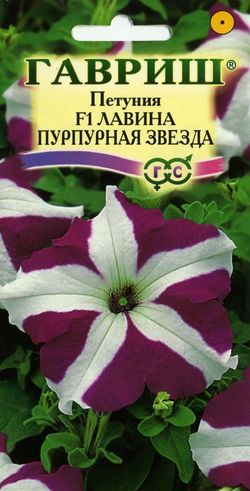 Петуния амп. Лавина Пурпурная звезда Гавриш