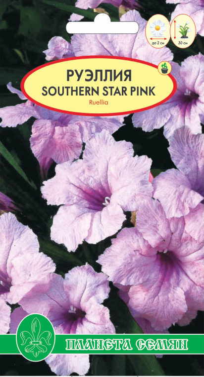 Руэллия п/с 3шт 