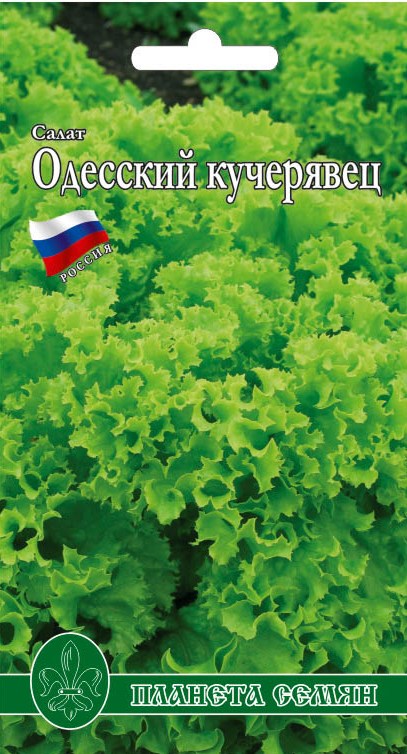 Одесский Кучерявец п/с 1г.
