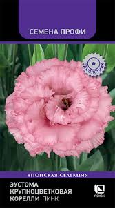 Эустома крупноц. Корелли Пинк 5шт (Поиск)