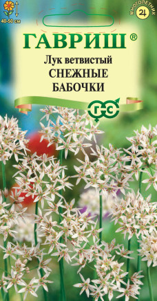 Лук ветвистый Снежные бабочки Гавриш