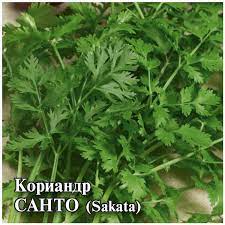 Кориандр Санто 100 г