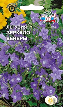 Легузия Зеркало Венеры голубая Седек