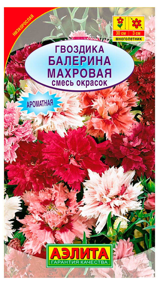 Гвоздика Балерина махровая смесь (А)
