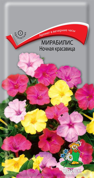 Мирабилис Ночная красавица 2,5гр (Поиск)
