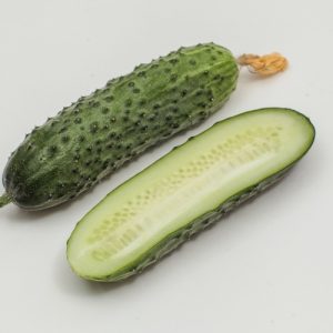 Рассада огурца Саунд