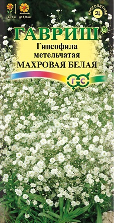 Гипсофила метельчатая Махровая белая Гавриш