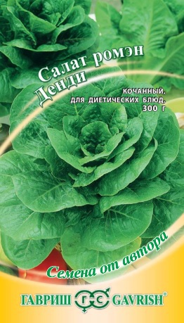Денди ромэн Гавриш