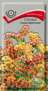 Статица Суприм абрикосовая (Поиск)