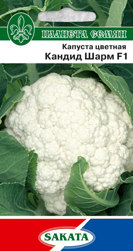 Кандид Шарм 100 шт