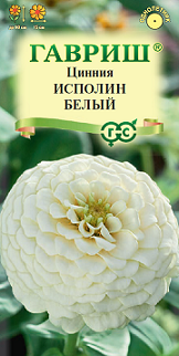 Цинния Исполин белый Гавриш