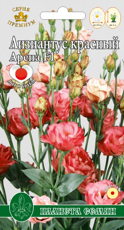 Лизиантус Арена красный 5шт п/с