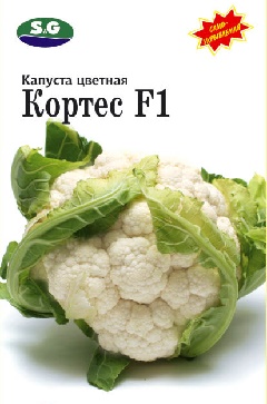 Кортес 100 шт