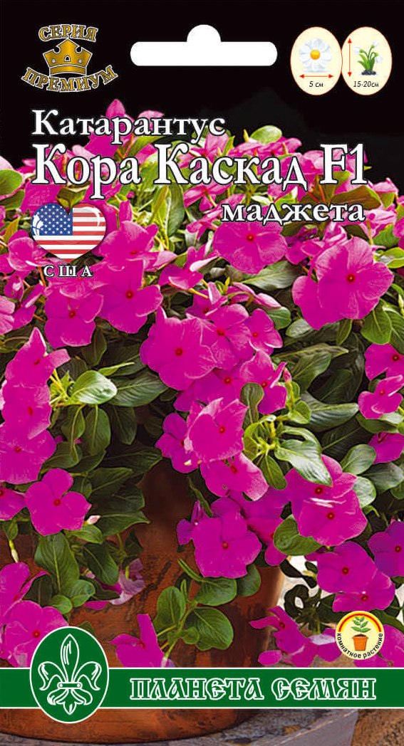 Катарантус амп. Кора Каскад маджета 3шт п/с