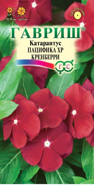 Катарантус Пацифика Кренберри Гавриш