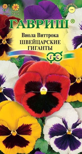 Виола Виттрока Швейцарские гиганты Гавриш