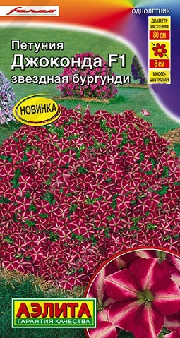 Петуния Джоконда звездная бургунди (А)