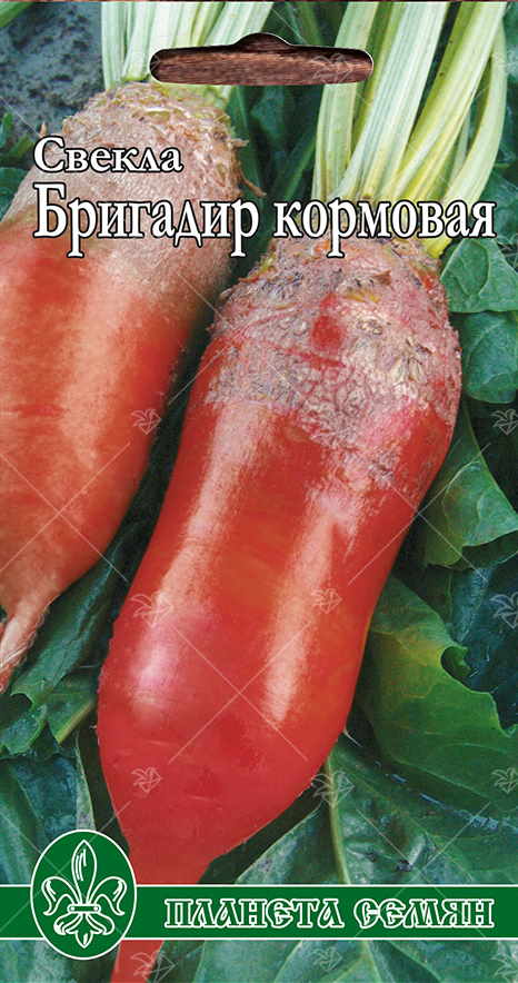 Кормовая Бригадир п/с 2гр 