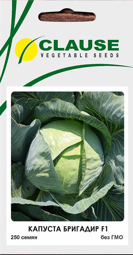 Бригадир 250 шт