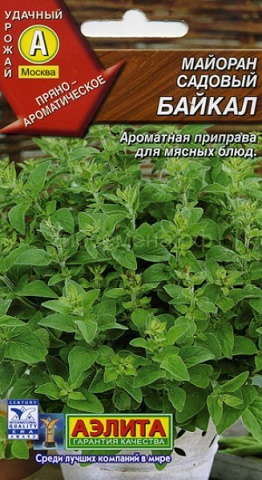 Майоран Байкал садовый (А)