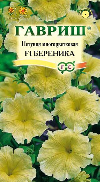Петуния Береника Гавриш