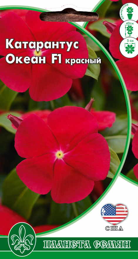 Катарантус Океан красный 5шт п/с