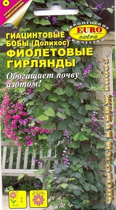 Долихос Фиолетовые гирлянды гиацинтовые бобы (А)