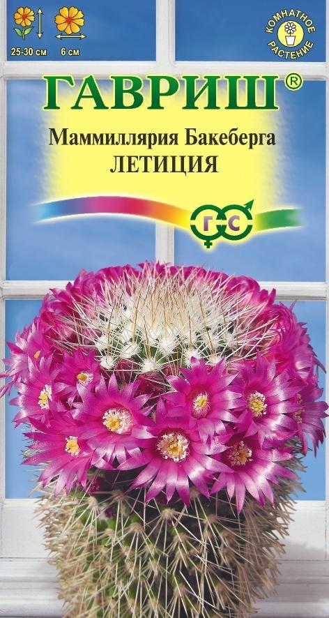 История и происхождение суккулента из рода Маммиллярия