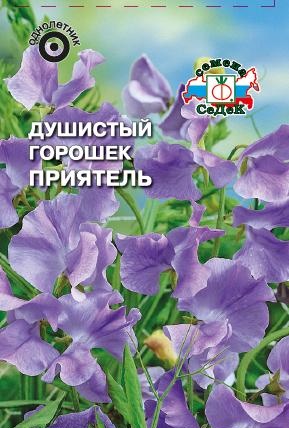 Душ. горошек Приятель (фиолетово-белый, карликовый) 0,5гр Седек