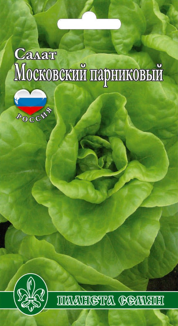 Салат московский парниковый картинки