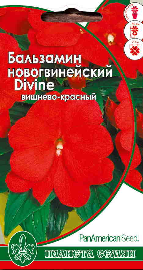 Бальзамин вишнево-красный 3шт п/с 