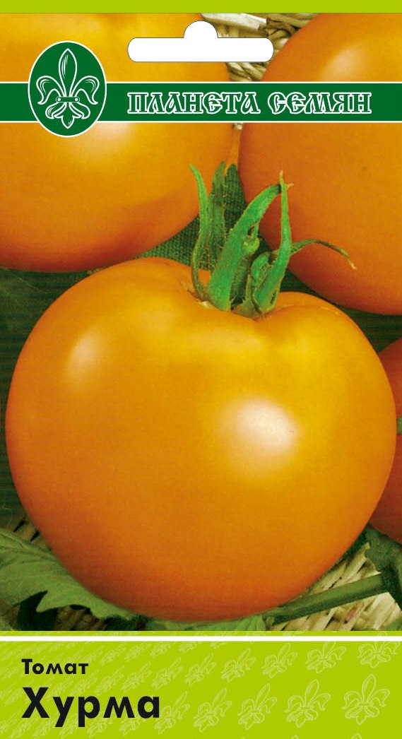 Помидоры сорт хурма отзывы фото. Семена томат хурма Гавриш. Семена томат хурма 0,1г Гавриш. Сорт томатов хурма.