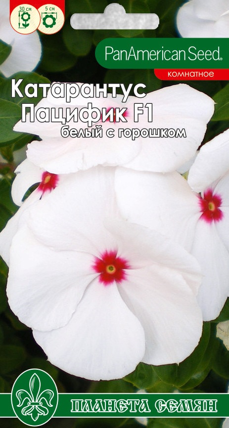 Катарантус Пацифика белый с горошком 5шт п/с