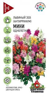Львиный зев Мини (микс) Гавриш