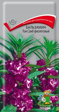 Бальзамин Том Самб фиолетовый 0,1г (Поиск)