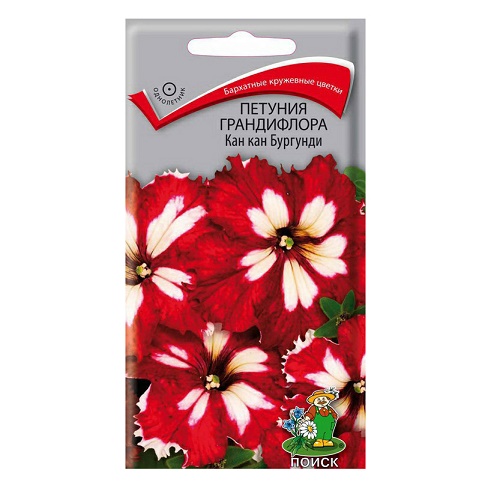Петуния Кан Кан бургунди 10шт (Поиск)