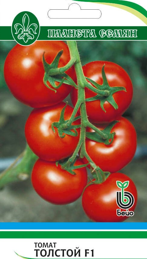 Купить томаты толстой. Семена томат толстой f1. Томат Лев толстой f1. Семена томата толстой f1 10шт. Семена томата Антей f1 15шт.