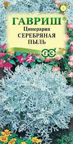 Цинерария Серебряная пыль Гавриш